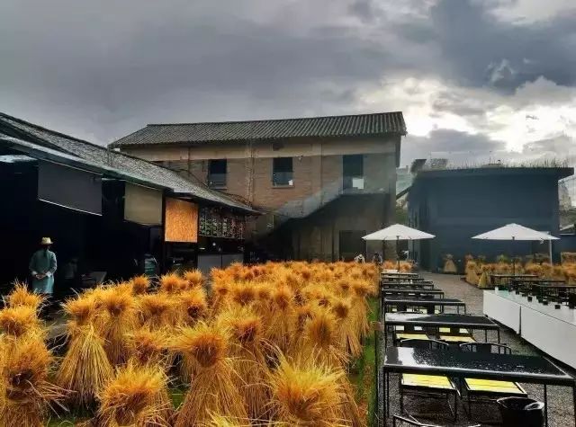 广州增城区宛若故里稻田里民宿,清远稻田田野民宿