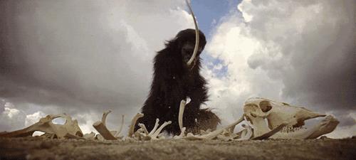 记录第一次登月电影,登月纪录片大全