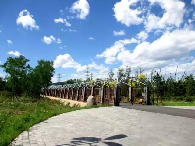 北京这38个森林公园您先收藏了!定个小目标,有空儿玩个遍!