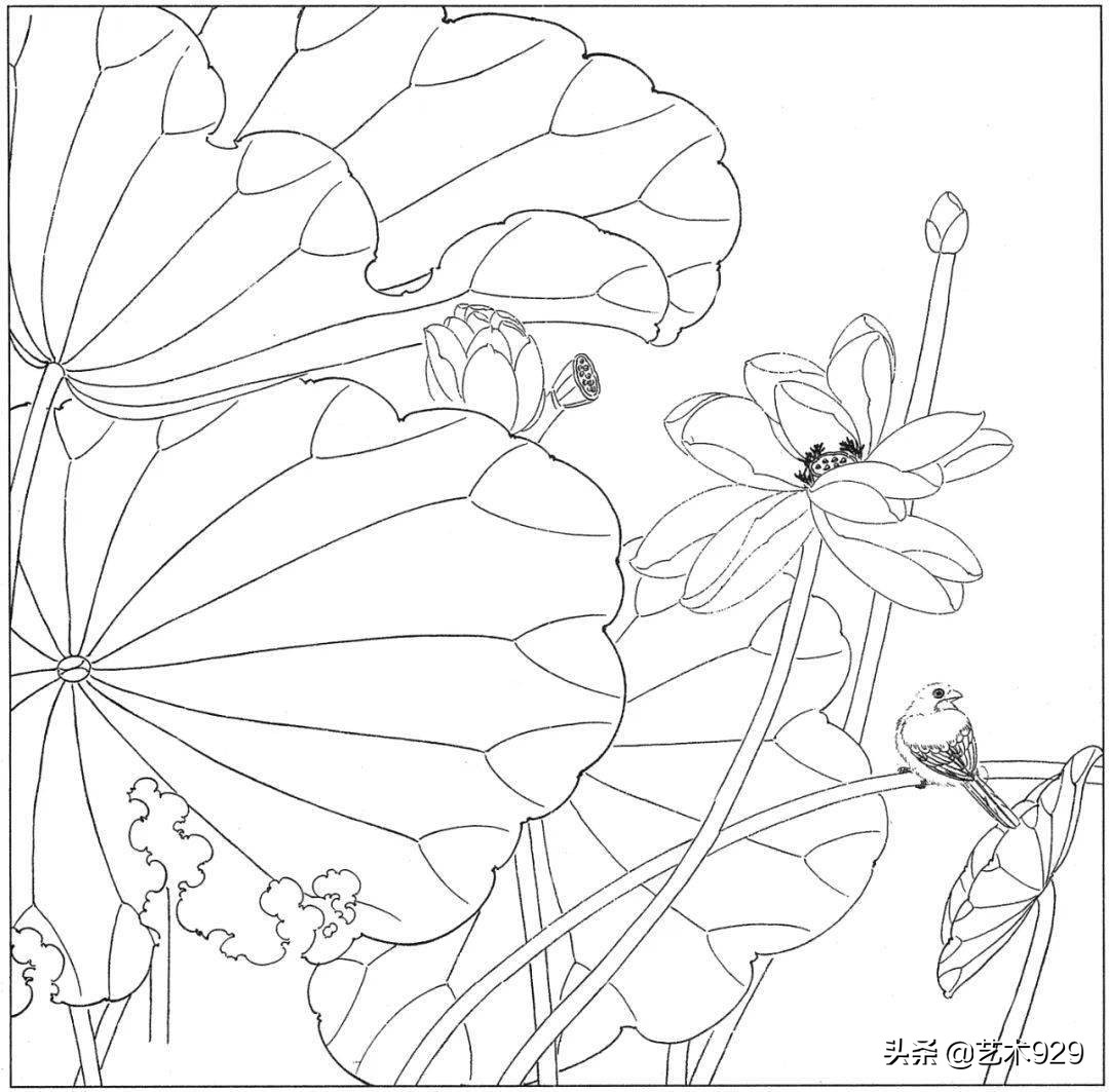 余稚荷花蜻蜓图高清白描底稿,白描荷花勾线方法讲解视频