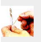 路由器网线水晶头接线方法,路由器上接网线到电脑网速怎么样