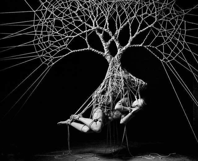 神和绳读音,神与魔只在一念之间