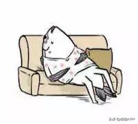 测一测你身体合格吗,测一测身上哪里迷人