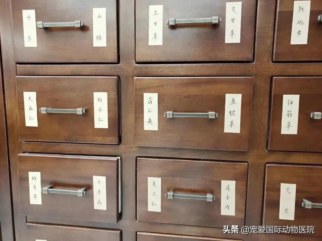 魏巍十大临床案例,魏巍临床经典案例