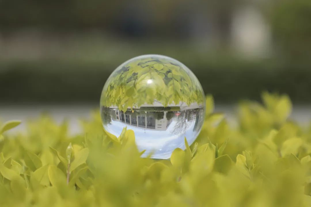 微视角|于玻璃球中赏魅力长大!