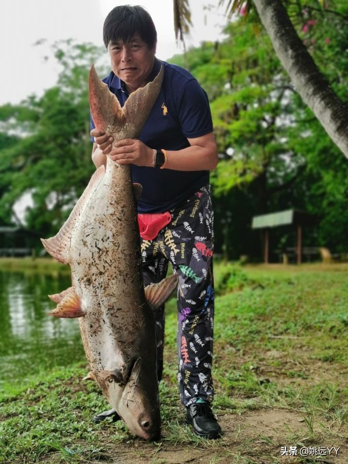 四海钓鱼韩国钓鱼纪录片,四海钓鱼南澳岛