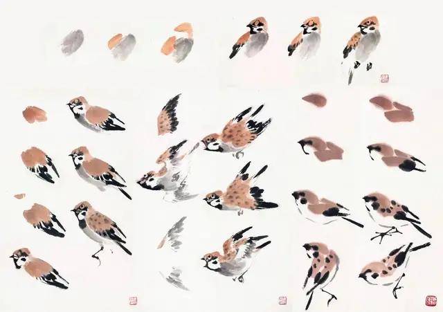 国画300例写意禽鸟技法入门,国画鸟的画法一学就会