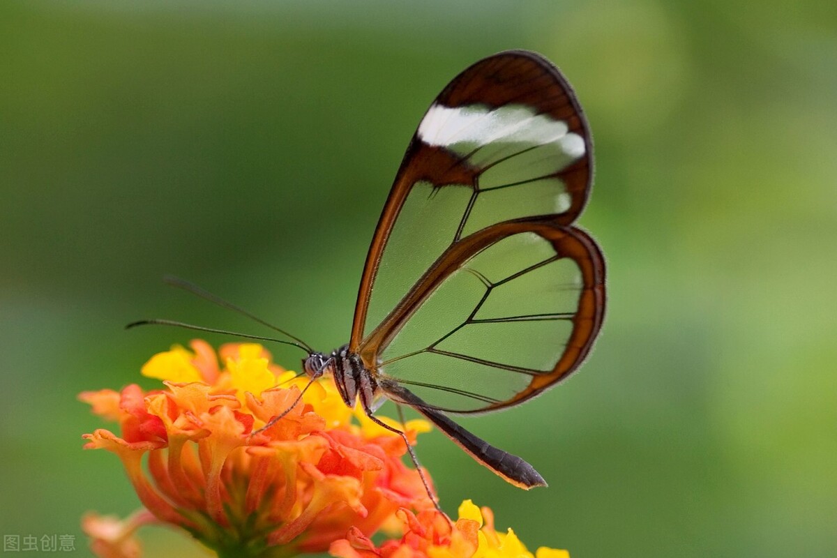 同样只活在自己的世界里,熊磊、丁红、素老三,人生如此不同