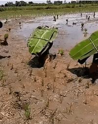 搞笑gif这才是真正的口若悬河,搞笑gif趣图这大概就是爱情吧