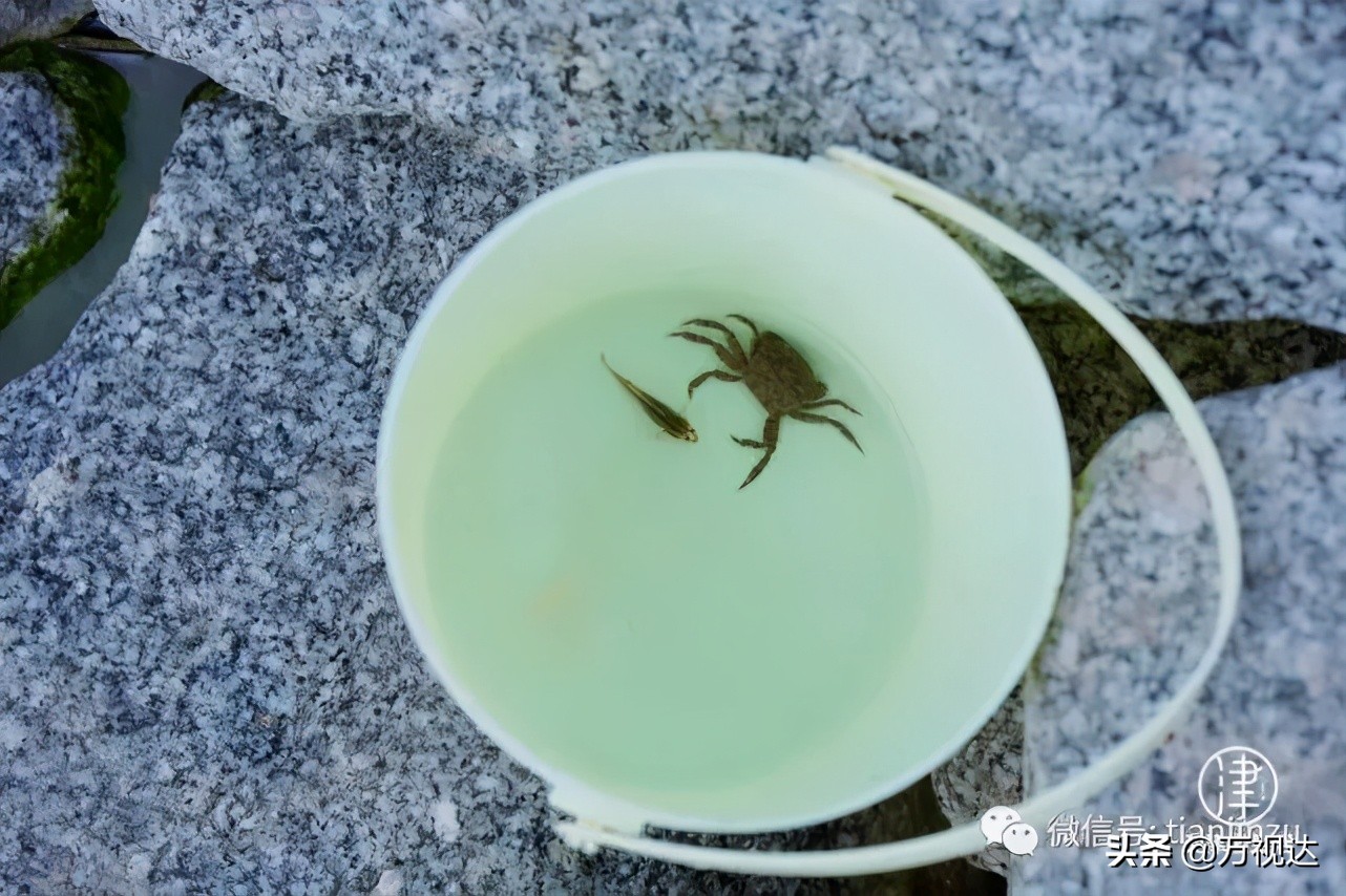 不负夏日好时光亲水游走起,不负金秋好时光