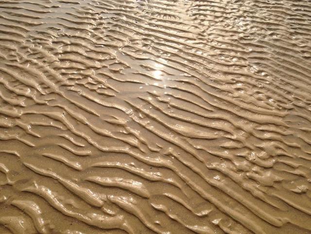 一轮骄阳升日照，二夜美梦伴海涛，三天渔家海鲜饱朋友同行欢笑多