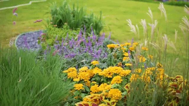 深圳免费公园适合儿童,深圳免费公园哪里最好啊