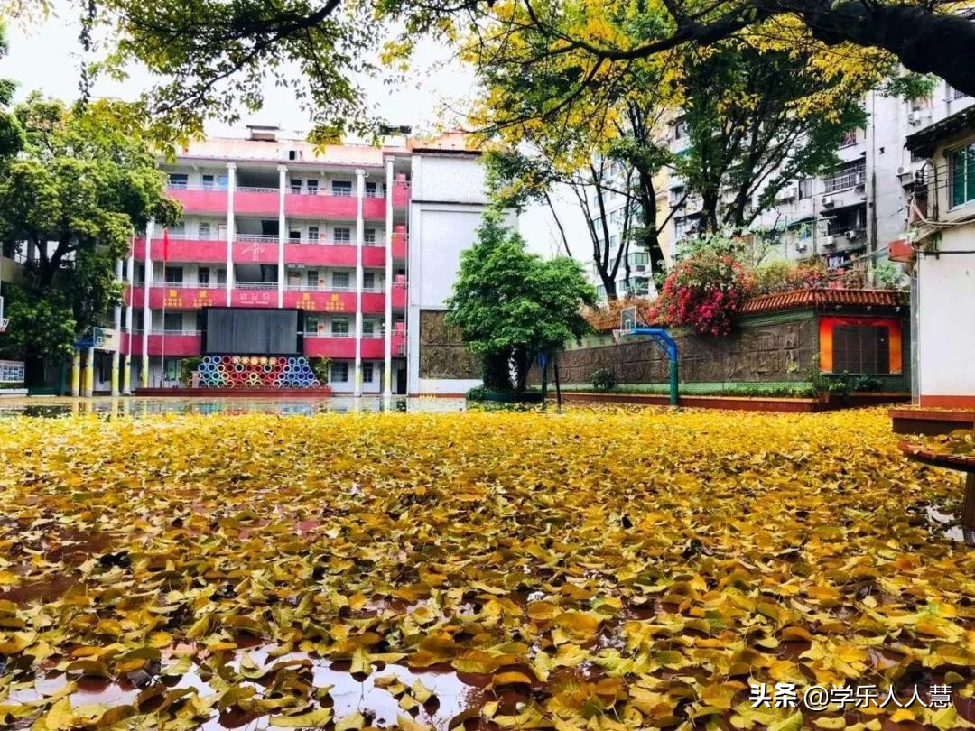 华师附中2024招生简章,二中应元增城