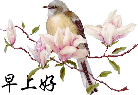 最新早晨好问候祝福语闪图,适合早晨发的高情商短句早安图片
