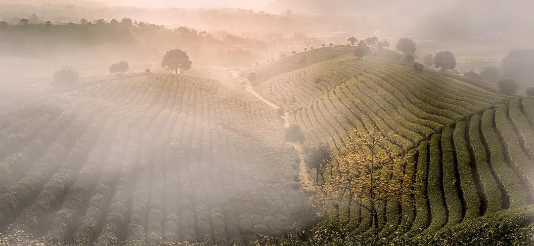 杭州小渔村旅游攻略图大全,杭州必去景点攻略图片高清