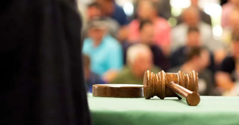 美国凶案:“我妈妈和别的男人约会,所以我不小心杀了她。”