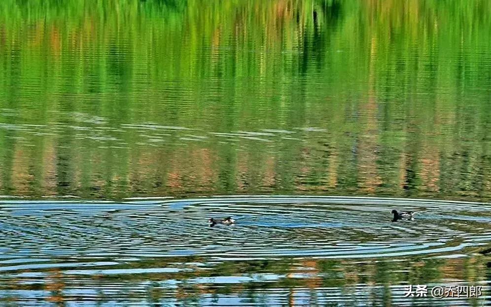 生活在陕西的一个小县城,陕西哪个小县城适合游玩