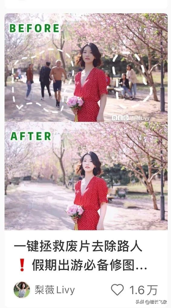 小红书精准引流获取大量女粉丝,小红书引流推广怎么赚钱