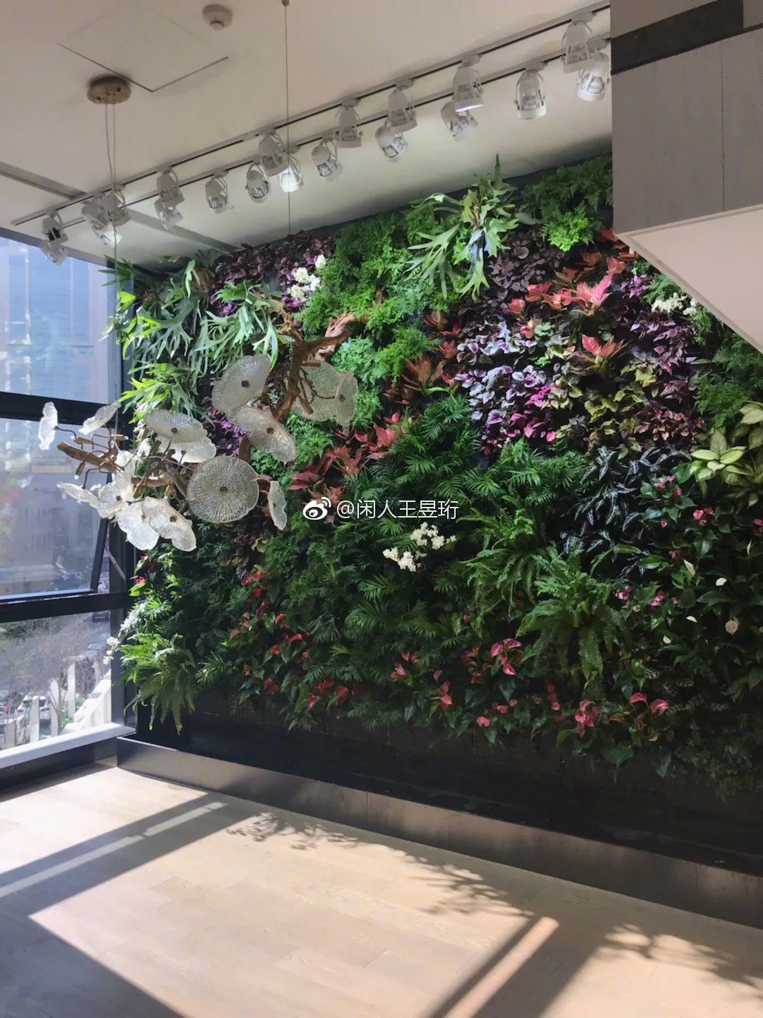 王昱珩上学经历,清华毕业的王昱珩