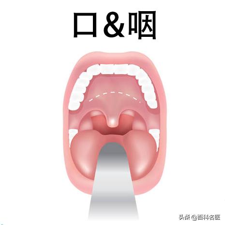 鼻炎和咽炎一起犯咳嗽厉害吗,鼻炎刺激嗓子咳嗽用哪个药缓解好