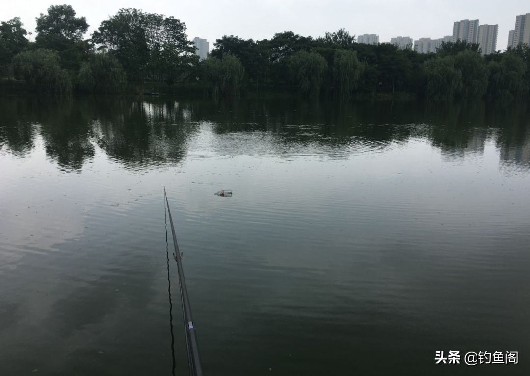 钓鱼最难忘的是什么,钓鱼遇到什么有趣的事