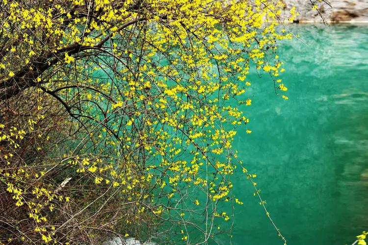 坚定信心同舟共济实现民族复兴,坚定信心共克时艰战贫战疫必胜