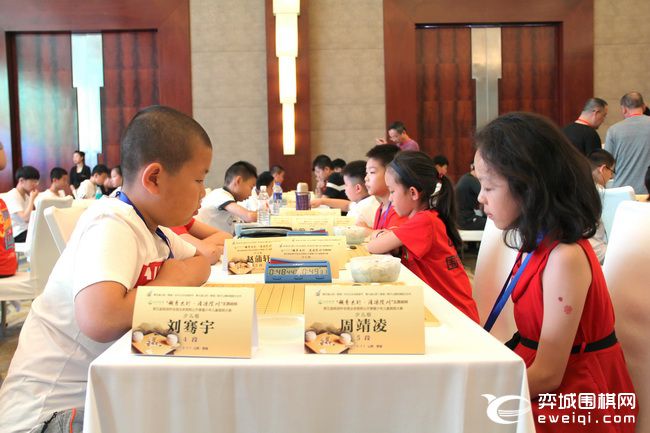 晋城首届围棋大赛,第35届全国业余围棋公开赛