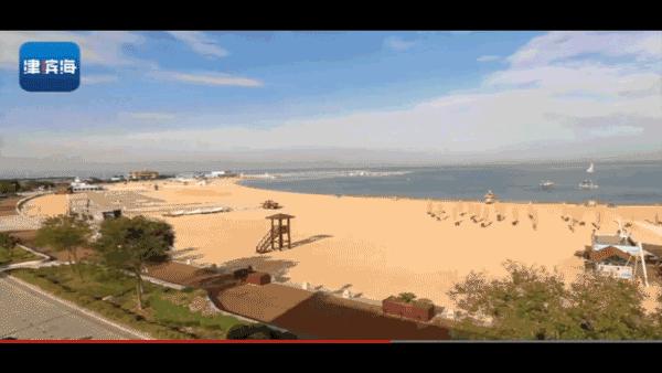 滨海新区开放海滩,滨海新区的沙滩