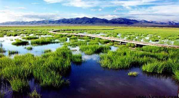 长征过松潘草地地图,长征松潘草地简介