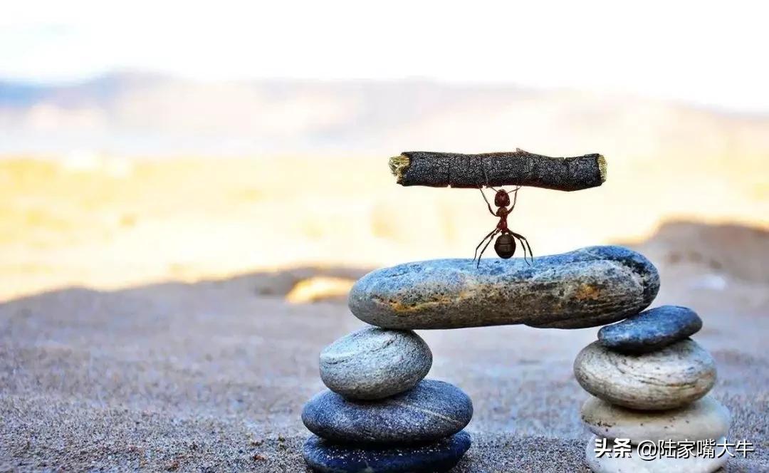 专职期货交易者必看的深度好文：如何以期货交易为生