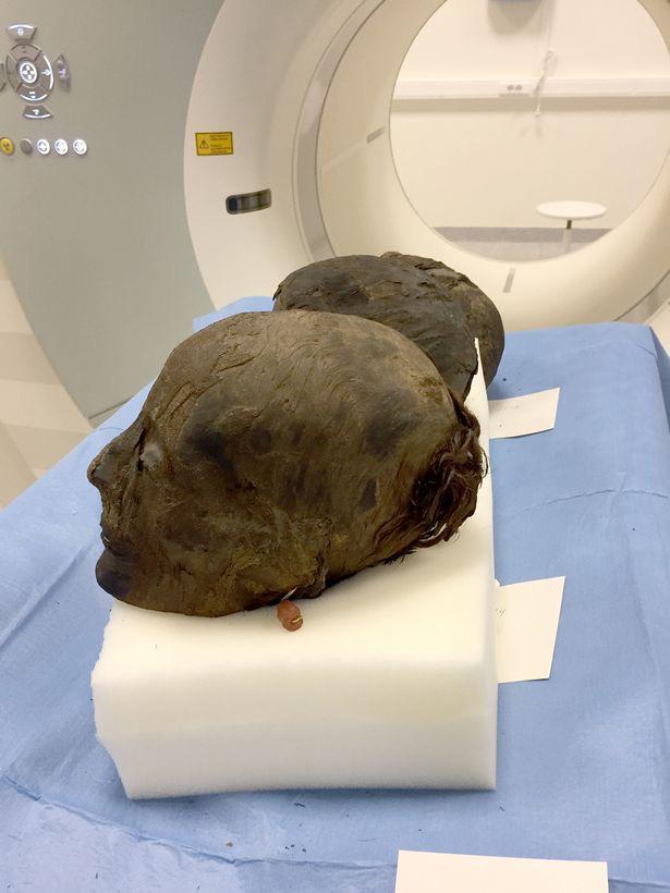 牛肉脂肪蓖麻油蜂蜡松脂，古埃及人真会生活，用这么高级的护发膏