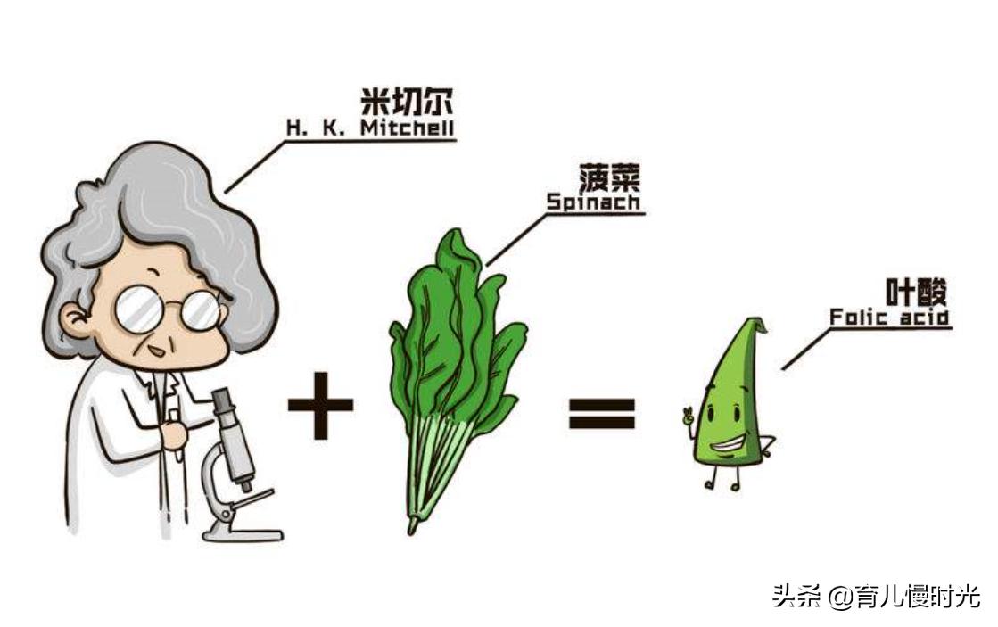 便宜叶酸和贵叶酸区别大吗,免费叶酸片和卖的有什么区别