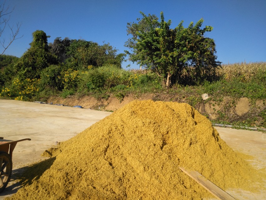 在缅甸建厂需要注意什么