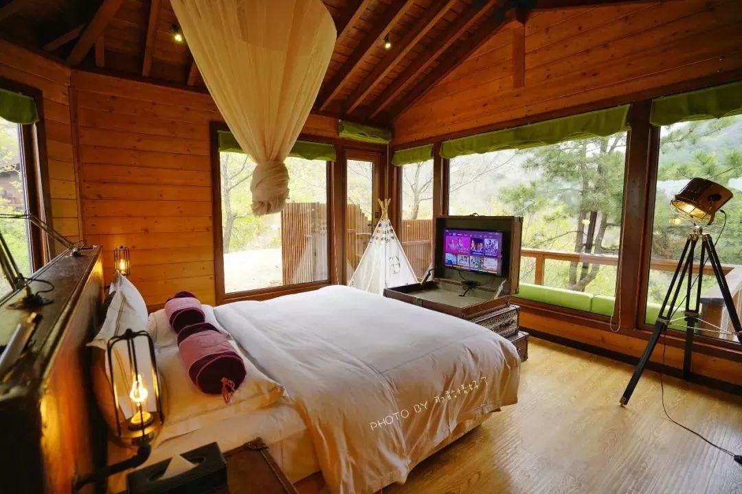 北京京郊童话树屋,台湾神奇的树屋