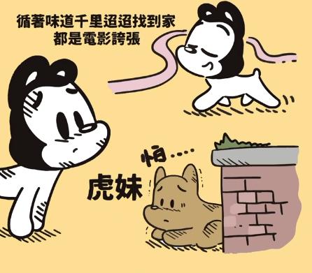 宠物狗走丢了一般怎么找回,在哪里寻找走丢的狗狗最有效