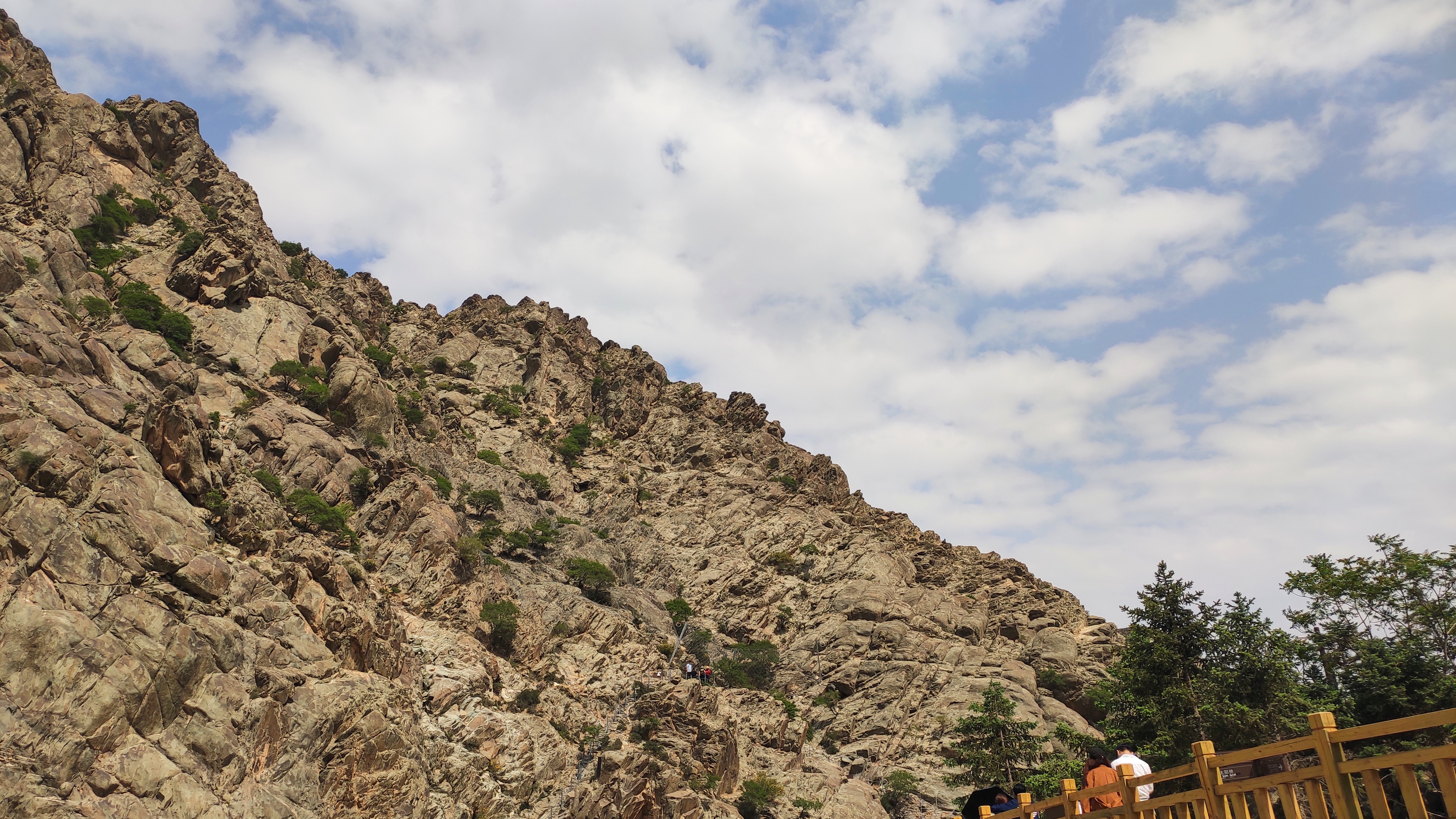 搓面下肚就发车,韩美林艺术馆里摆POSE,贺兰山边看睡佛