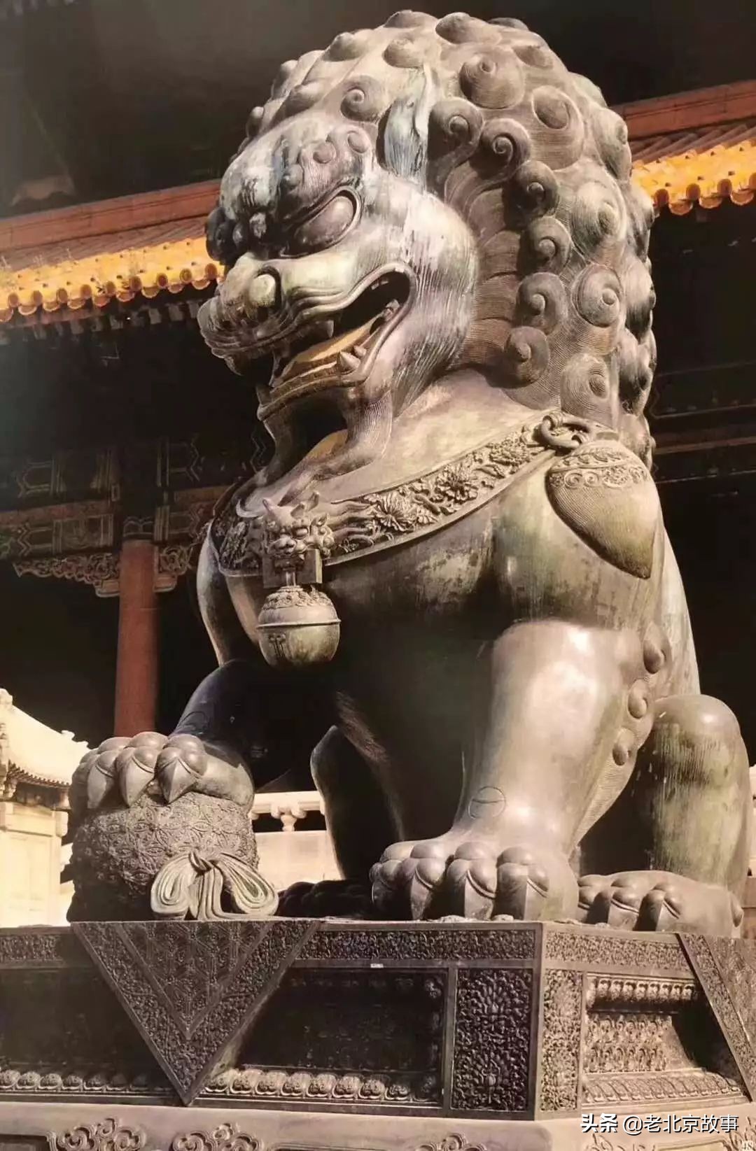 故宫成了动物园,故宫北京动物园