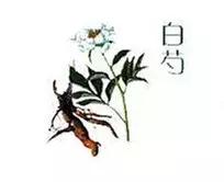 中医治疗脱发食疗秘方,熬夜多梦脱发中医辨证论治