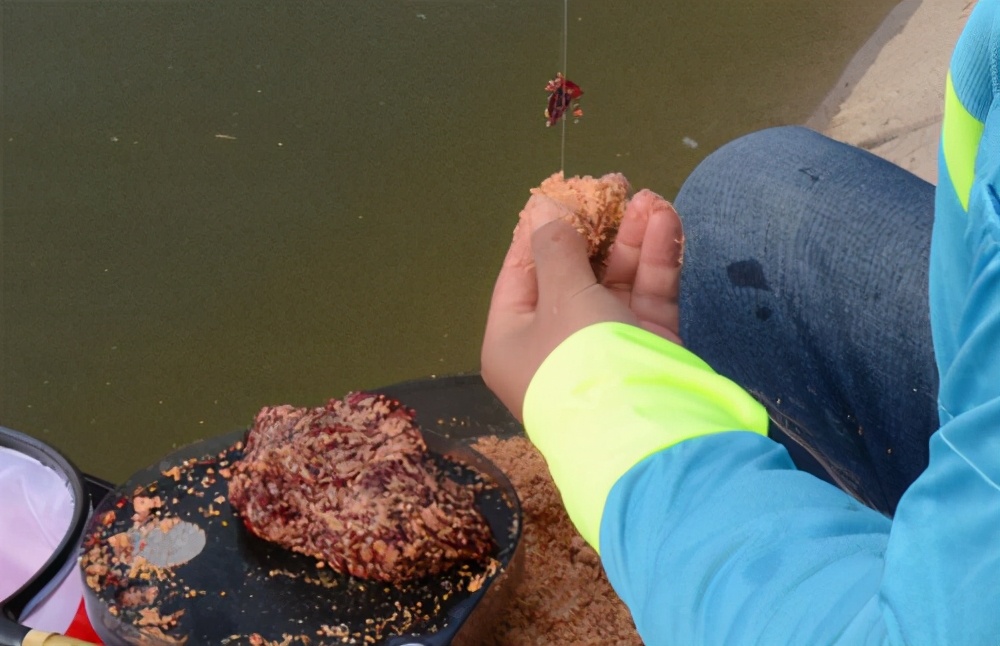 红虫饵的饲养方法,红虫最佳使用方法