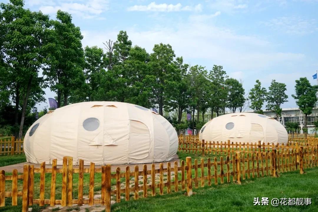 美丽泽州我的家,美丽我的家