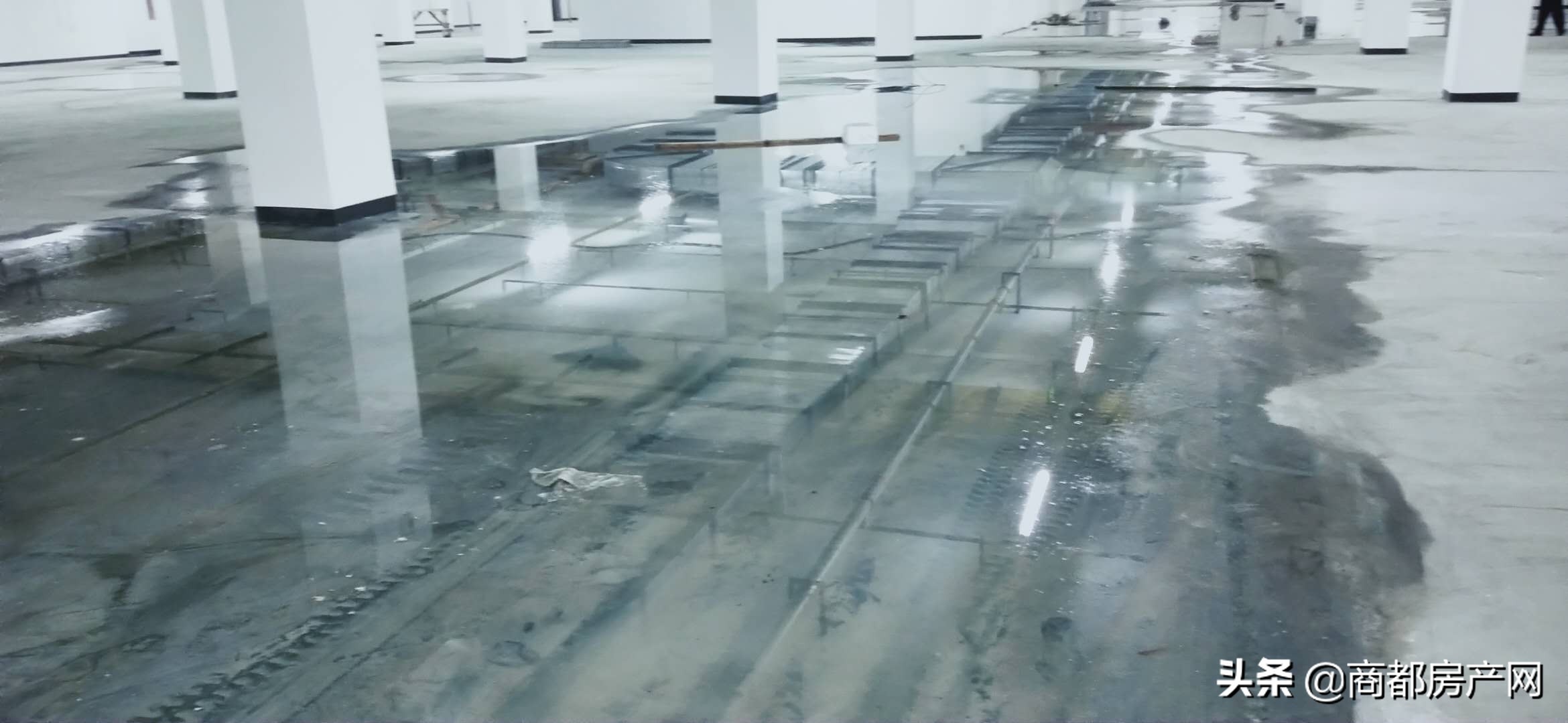 一场由猪队友曝光的建业恶性循环