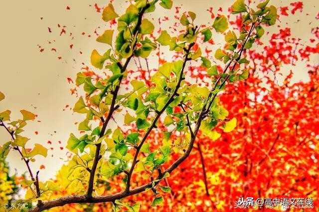 常见错别字大全1000字,近10年中考最常见的1000个错别字