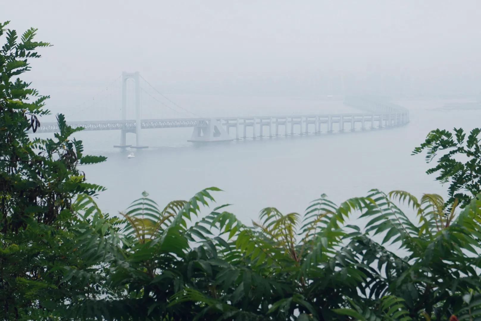 大连慢享时光精品主题酒店,大连绝美树屋酒店