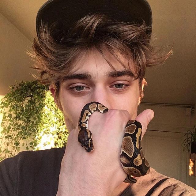 法国男模伏地魔,法国英俊男模成最帅伏地魔