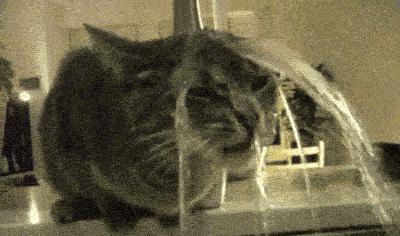 平价原料桶精华真的应该买吗？