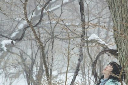 情感音乐挪威的森林,听懂挪威的森林