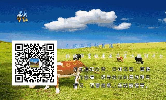 新年家族群里通知,提醒年底把事情做完