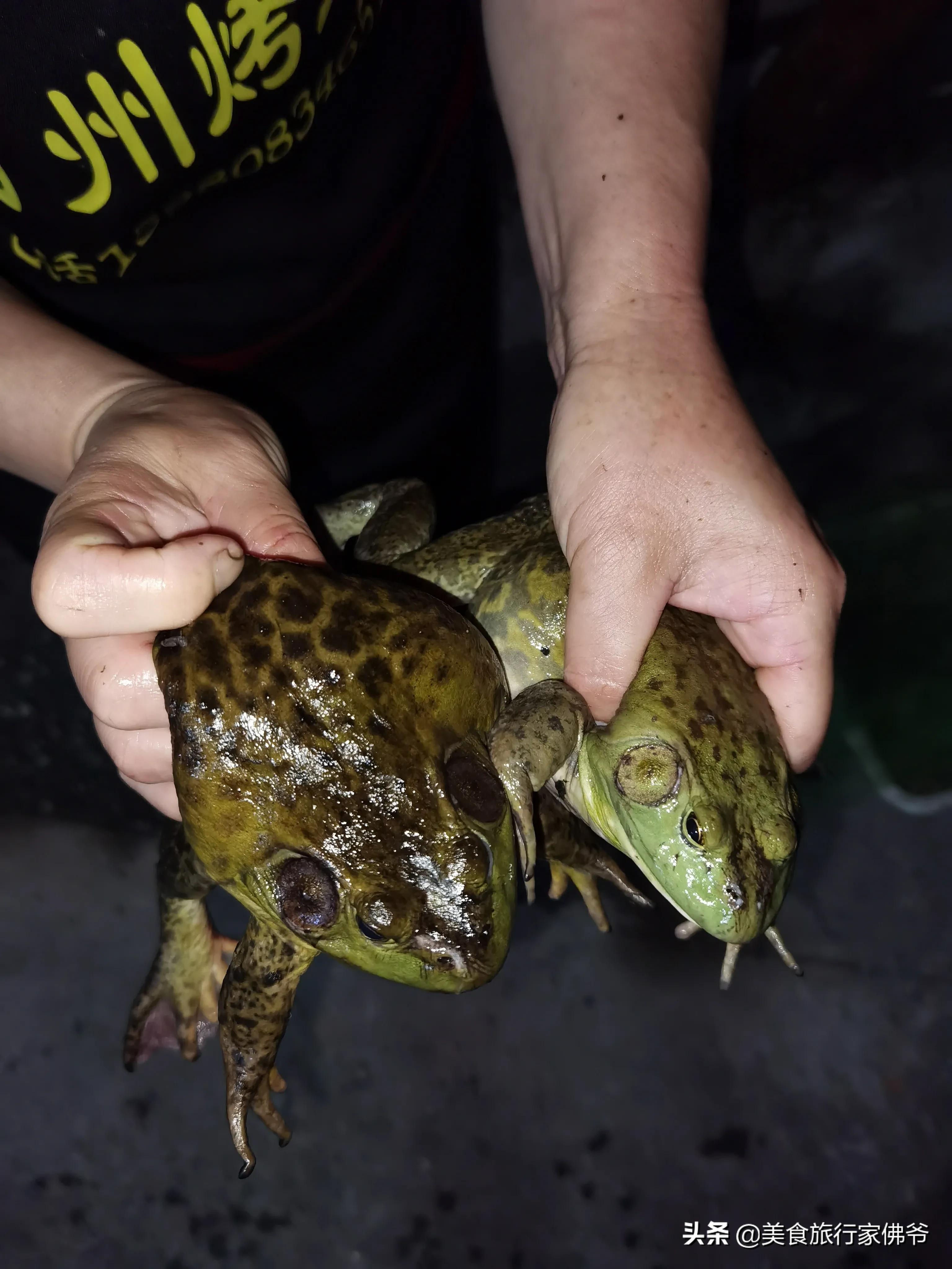 在福州找美食,福州最好吃的水煮牛蛙