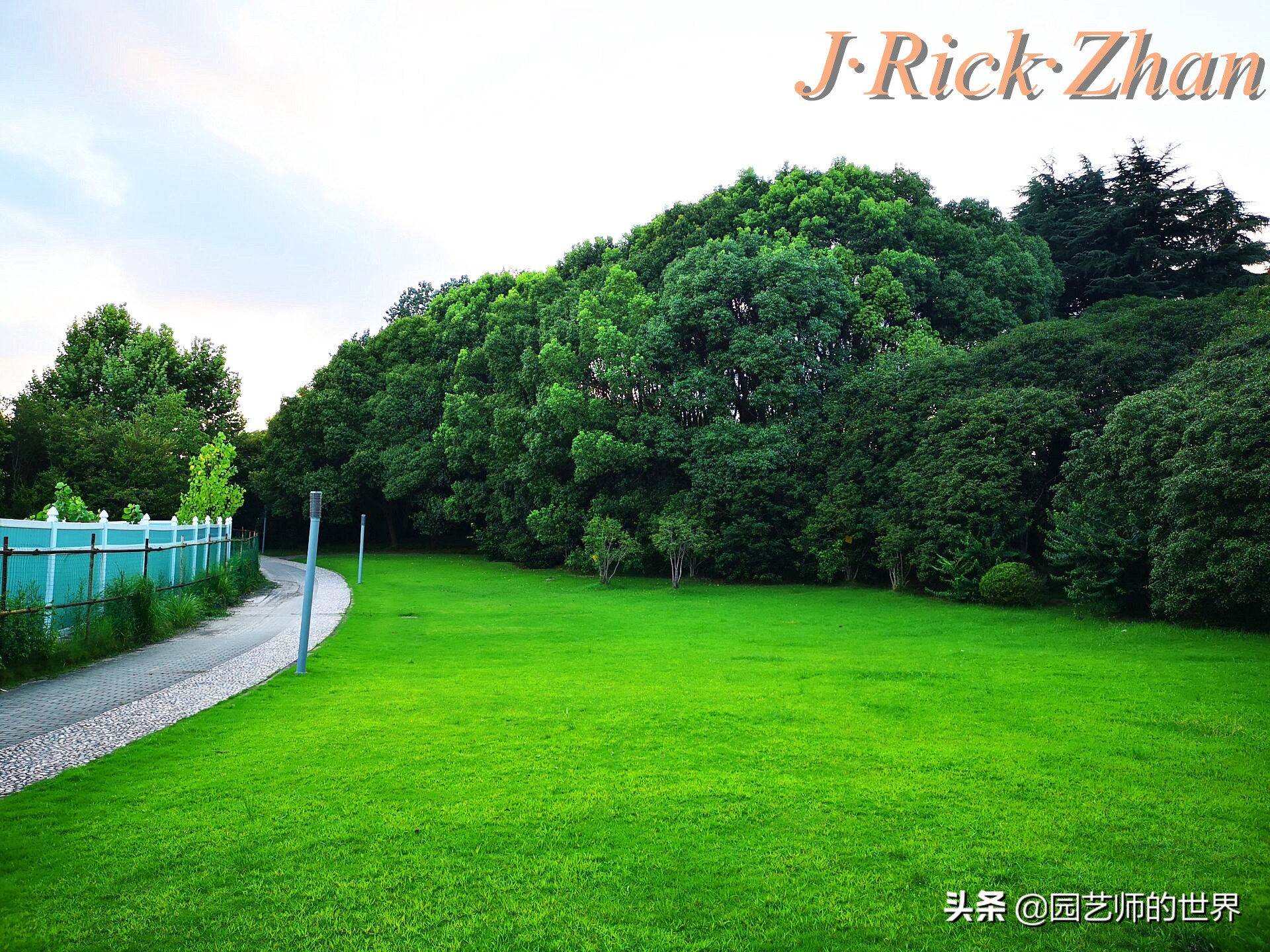 怎么种植草坪不长杂草,如何养好草坪