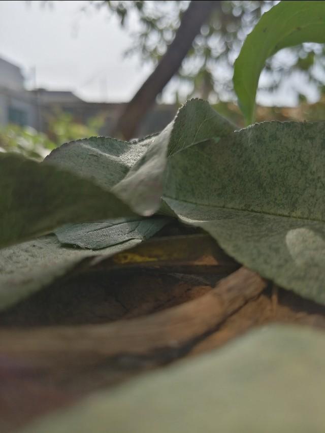 步步惊心的电视剧哪部好看,《步步惊心》短剧剧情介绍